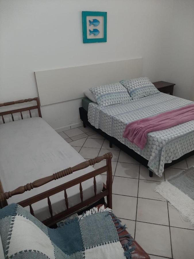 Tartaruga Marinha *